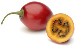 Tamarillo0.jpg