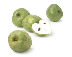 cherimoya0.jpg