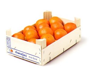 clementin0.jpg