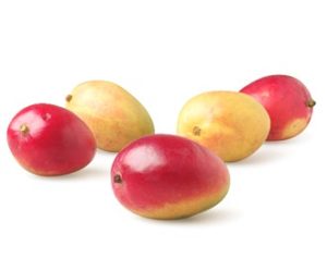 mango0.jpg
