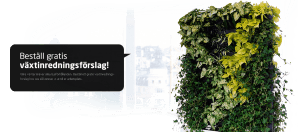 Växter till kontor & företag