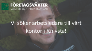 Arbetsledare till Knivsta
