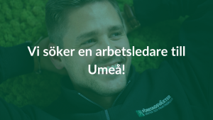 Arbetsledare Umeå | Fruktkorgar